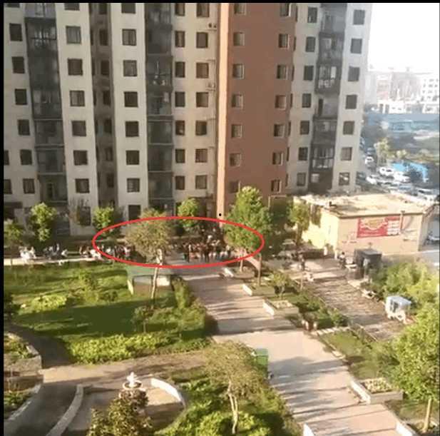 南阳爆料最新,揭秘当地最新热点事件背后的真相